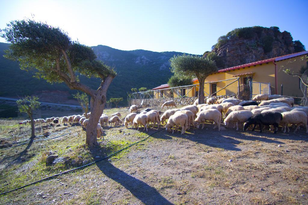 Agriturismo Sa Rocca Iglesias Exterior photo